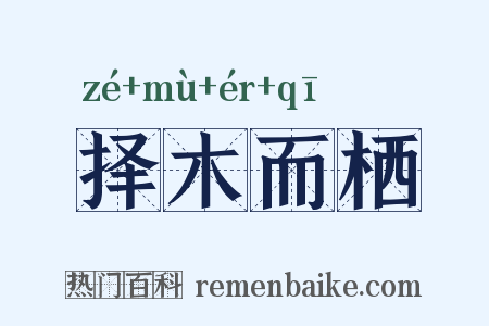 择木而栖是什么意思的图片